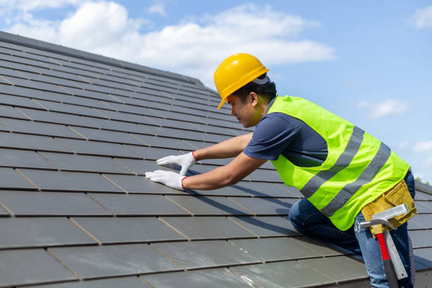 Best Roof Gutter Cleaning  in Camden, OH