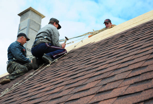 Best Roof Gutter Cleaning  in Camden, OH